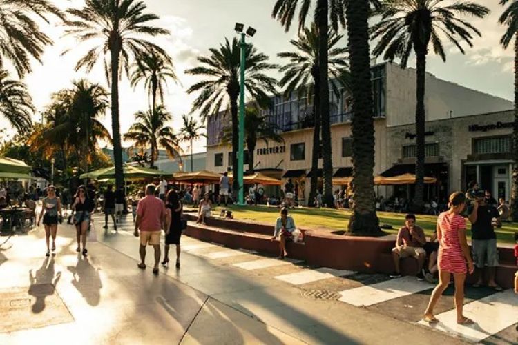 Lincoln Road Like a Local